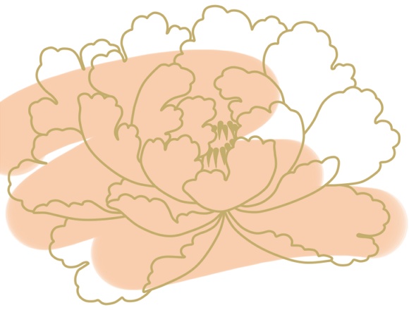 牡丹イラスト素材