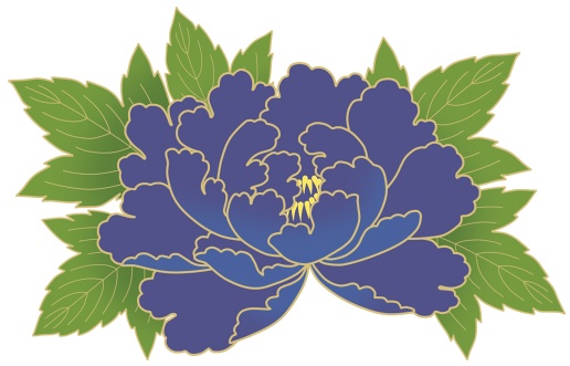 牡丹イラスト素材