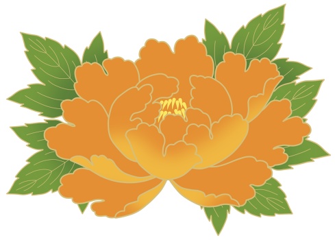 牡丹イラスト素材