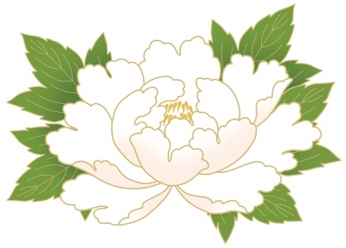 牡丹イラスト素材