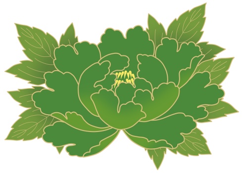 牡丹イラスト素材