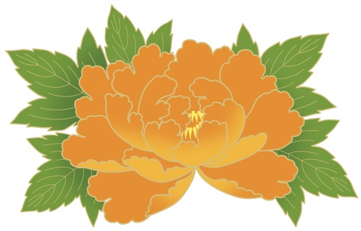 牡丹イラスト素材