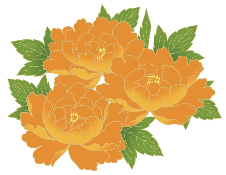 牡丹イラスト素材