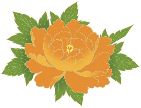 牡丹イラスト素材