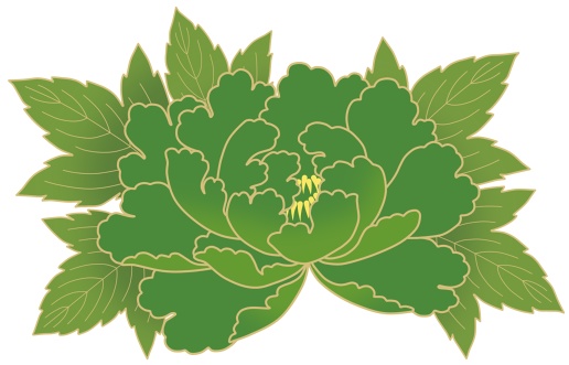 牡丹イラスト素材