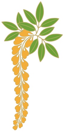 藤イラスト素材