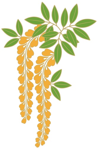 藤イラスト素材