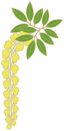 藤イラスト素材