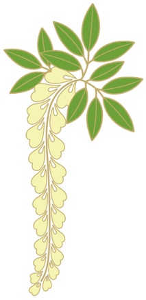 藤イラスト素材