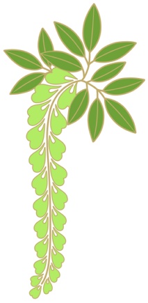 藤イラスト素材