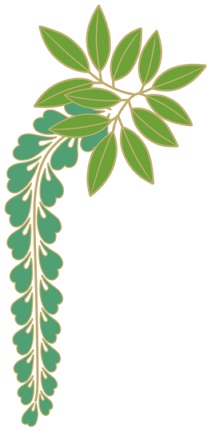 藤イラスト素材