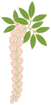 藤イラスト素材