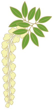 藤イラスト素材