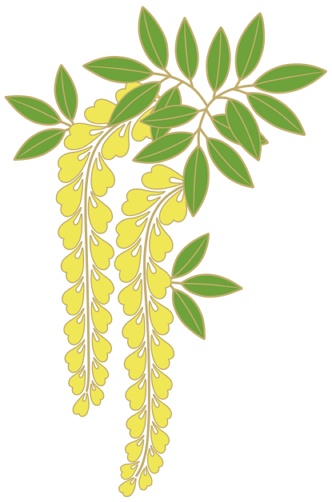 藤イラスト素材