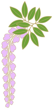 藤イラスト素材