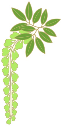 藤イラスト素材