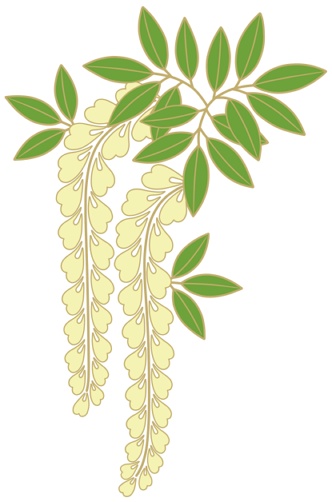 藤イラスト素材