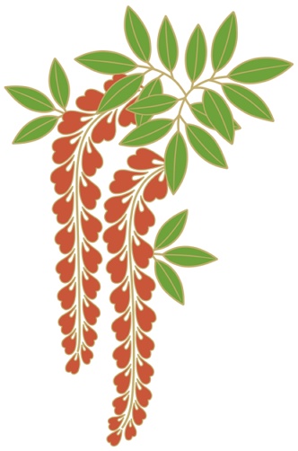 藤イラスト素材