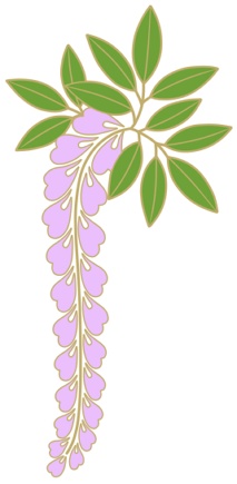 藤イラスト素材