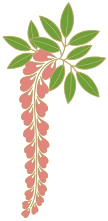 藤イラスト素材