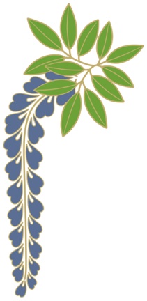藤イラスト素材