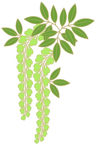 藤イラスト素材