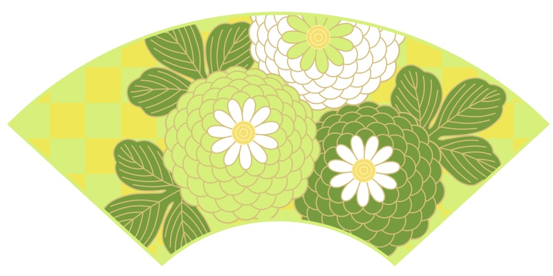 地紙に菊イラスト素材2