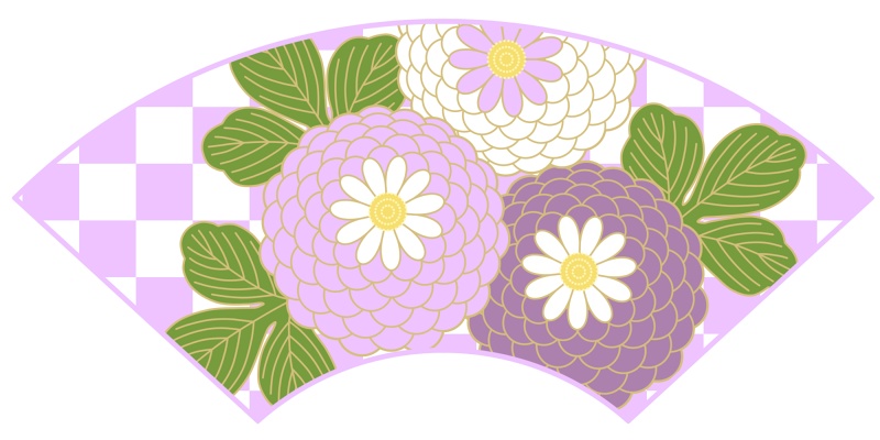 地紙に菊イラスト素材2