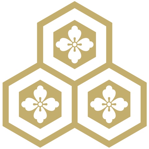 三つ盛り亀甲1 唐花