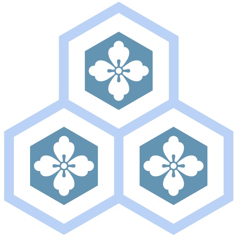 三つ盛り亀甲1 唐花