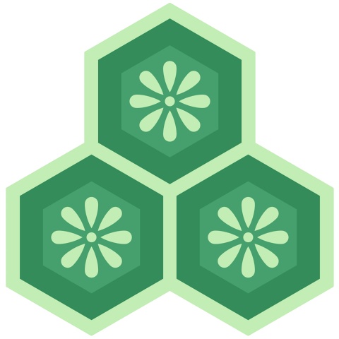 三つ盛り亀甲2 小花