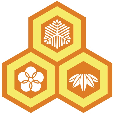 三つ盛り亀甲3 松竹梅