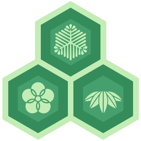 三つ盛り亀甲3 松竹梅