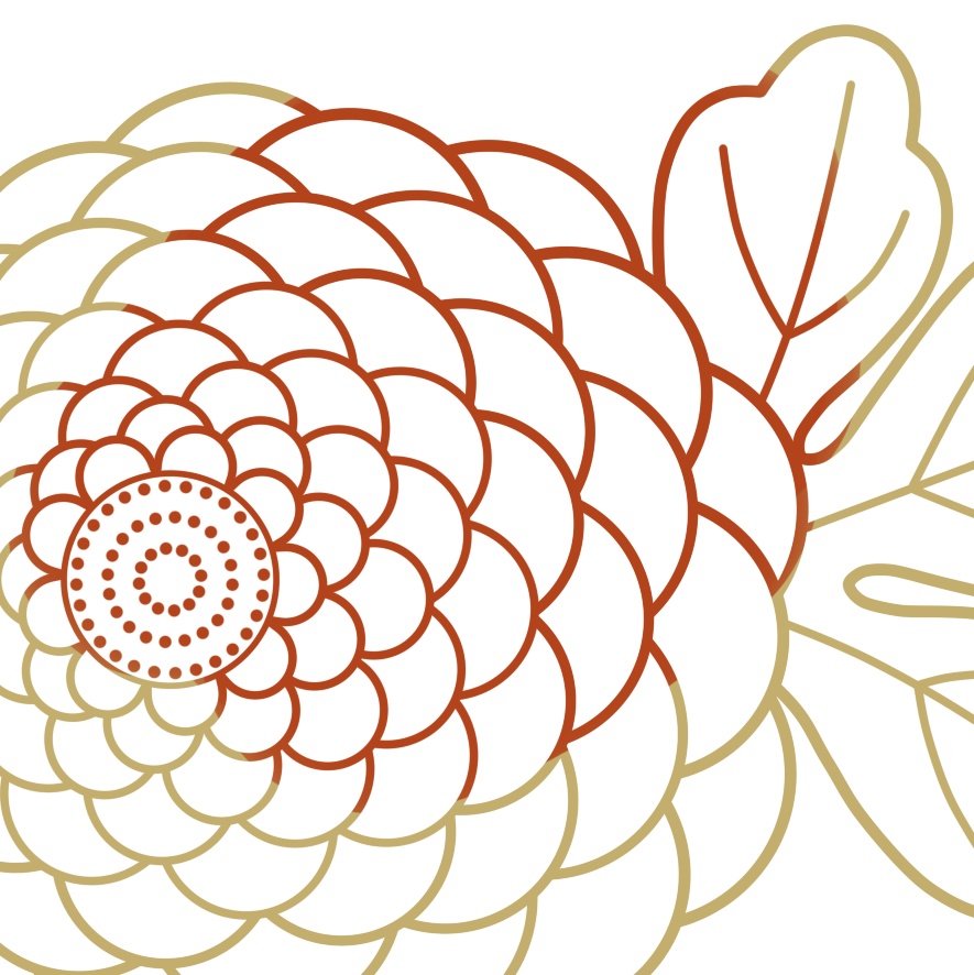 菊イラスト素材1