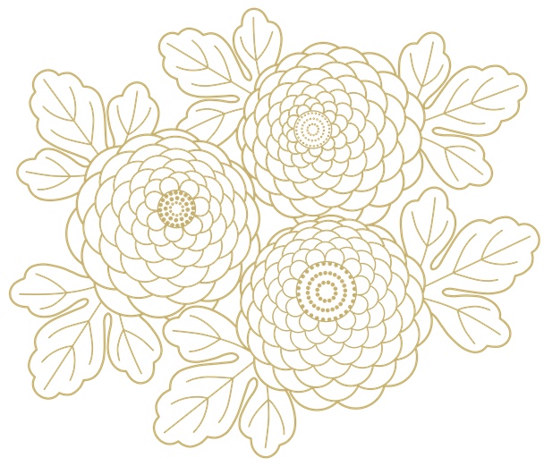 菊イラスト素材1