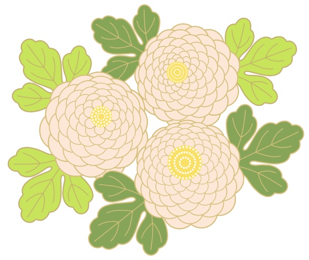 菊イラスト素材1