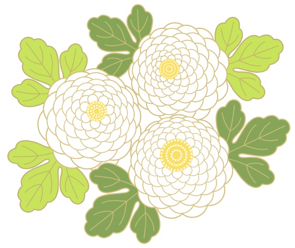 菊イラスト素材1