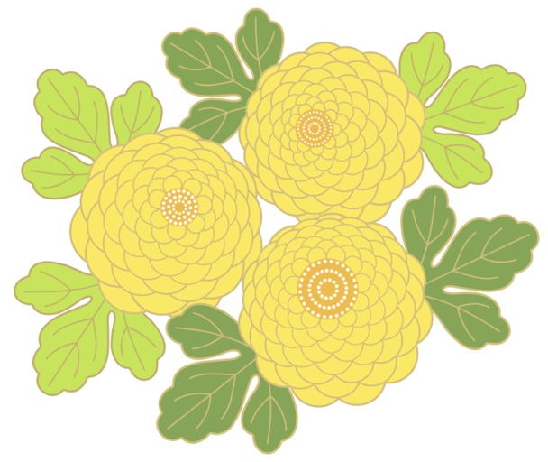 菊イラスト素材1