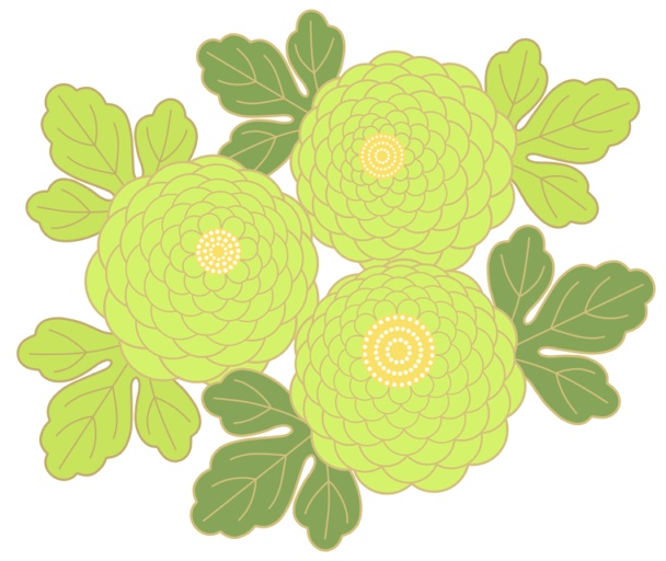 菊イラスト素材1