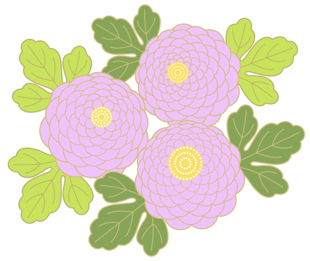 菊イラスト素材1
