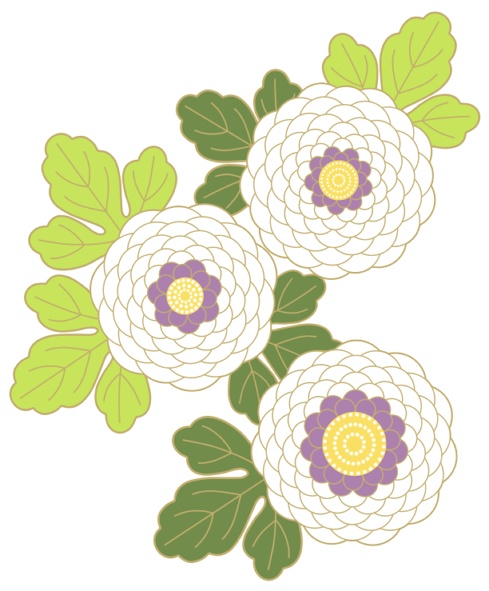 菊イラスト素材2