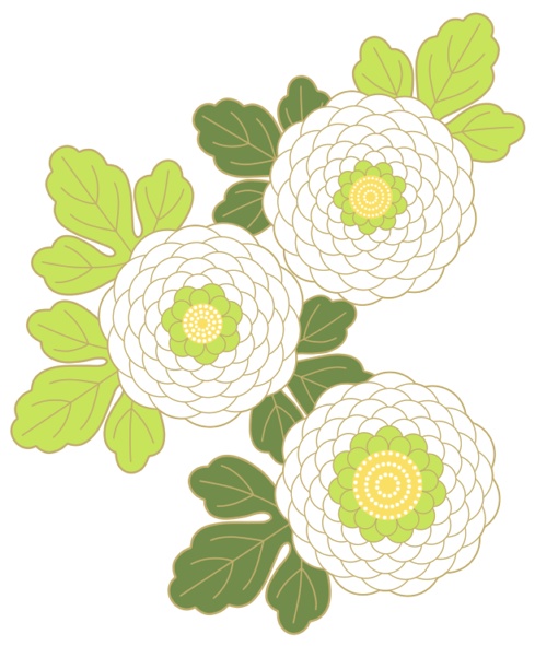 菊イラスト素材2