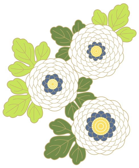 菊イラスト素材2