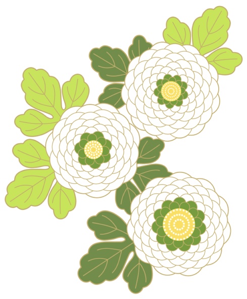 菊イラスト素材2