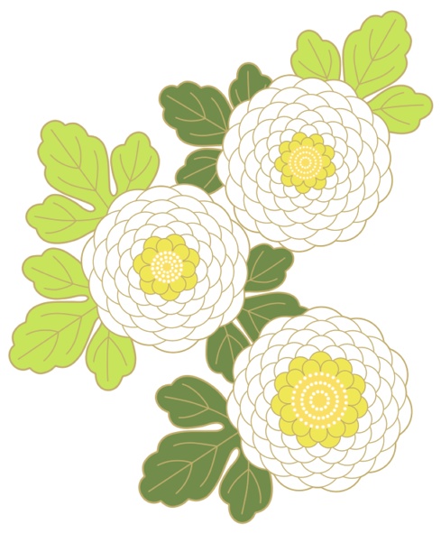 菊イラスト素材2