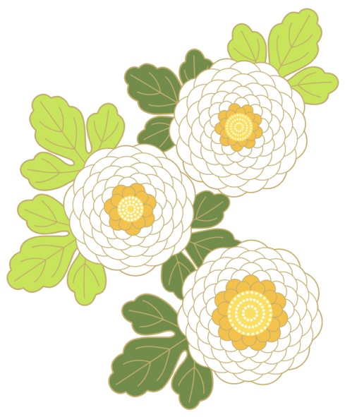 菊イラスト素材2