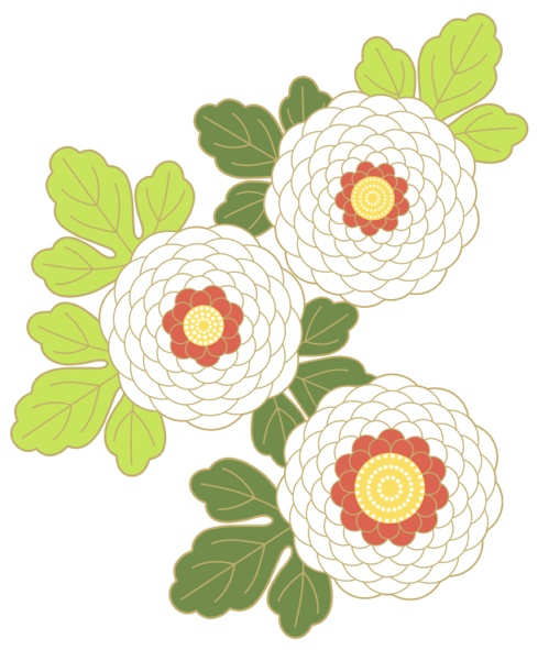 菊イラスト素材2