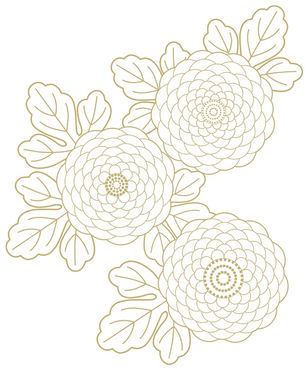 菊イラスト素材2