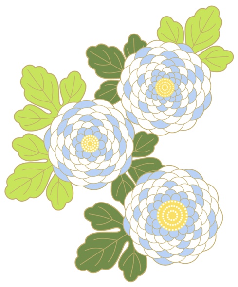 菊イラスト素材3