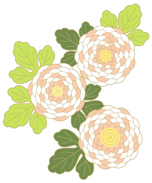 菊イラスト素材3